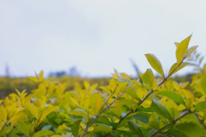 視覺藝術, photography, visual art, 攝影藝術, 攝影創作
