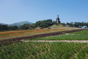 視覺藝術, photography, visual art, 攝影藝術, 攝影創作
