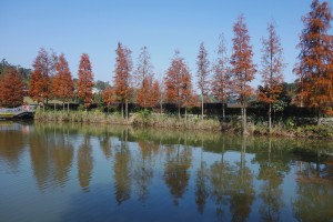 視覺藝術, photography, visual art, 攝影藝術, 攝影創作
